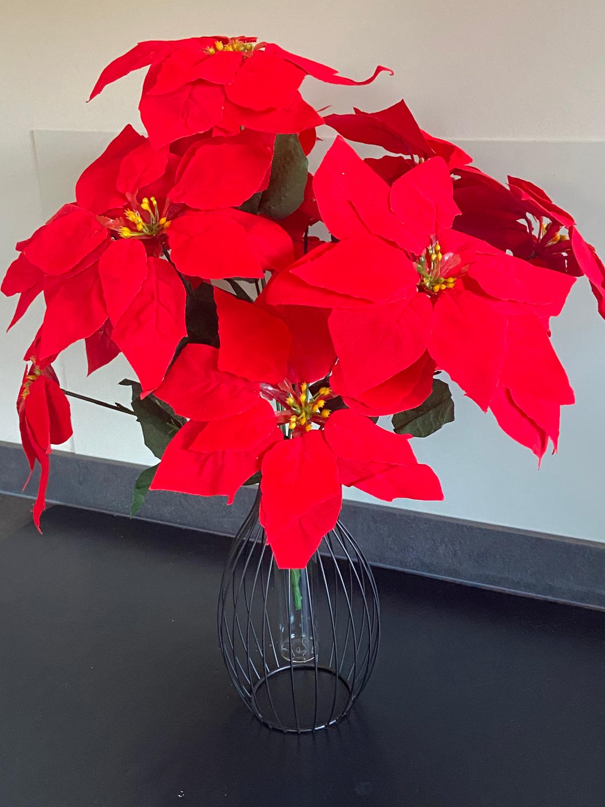 kerstster