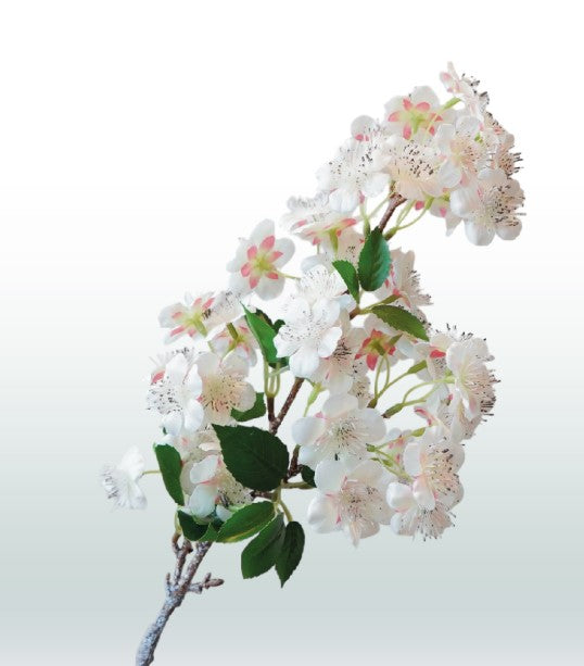 Bloesemtak Perzik 58cm
