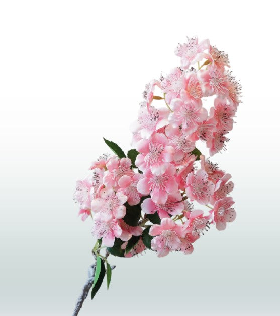 Bloesemtak Perzik 58cm