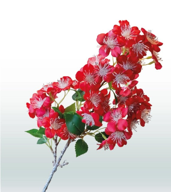 Bloesemtak Perzik 58cm