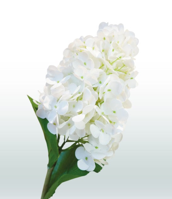 Zijden Hortensia