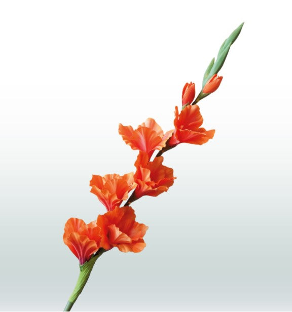 Gladiool 82cm