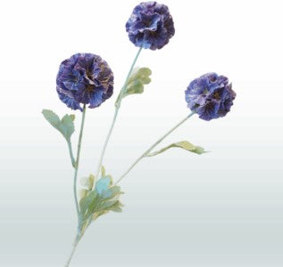 Scabiosa 68 cm 3 bloemen per steel