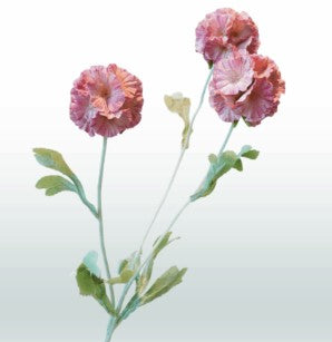 Scabiosa 68 cm 3 bloemen per steel