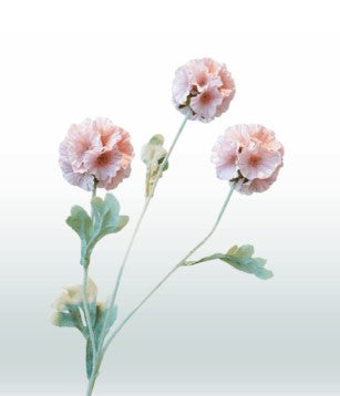 Scabiosa 68 cm 3 bloemen per steel