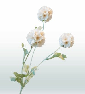 Scabiosa 68 cm 3 bloemen per steel