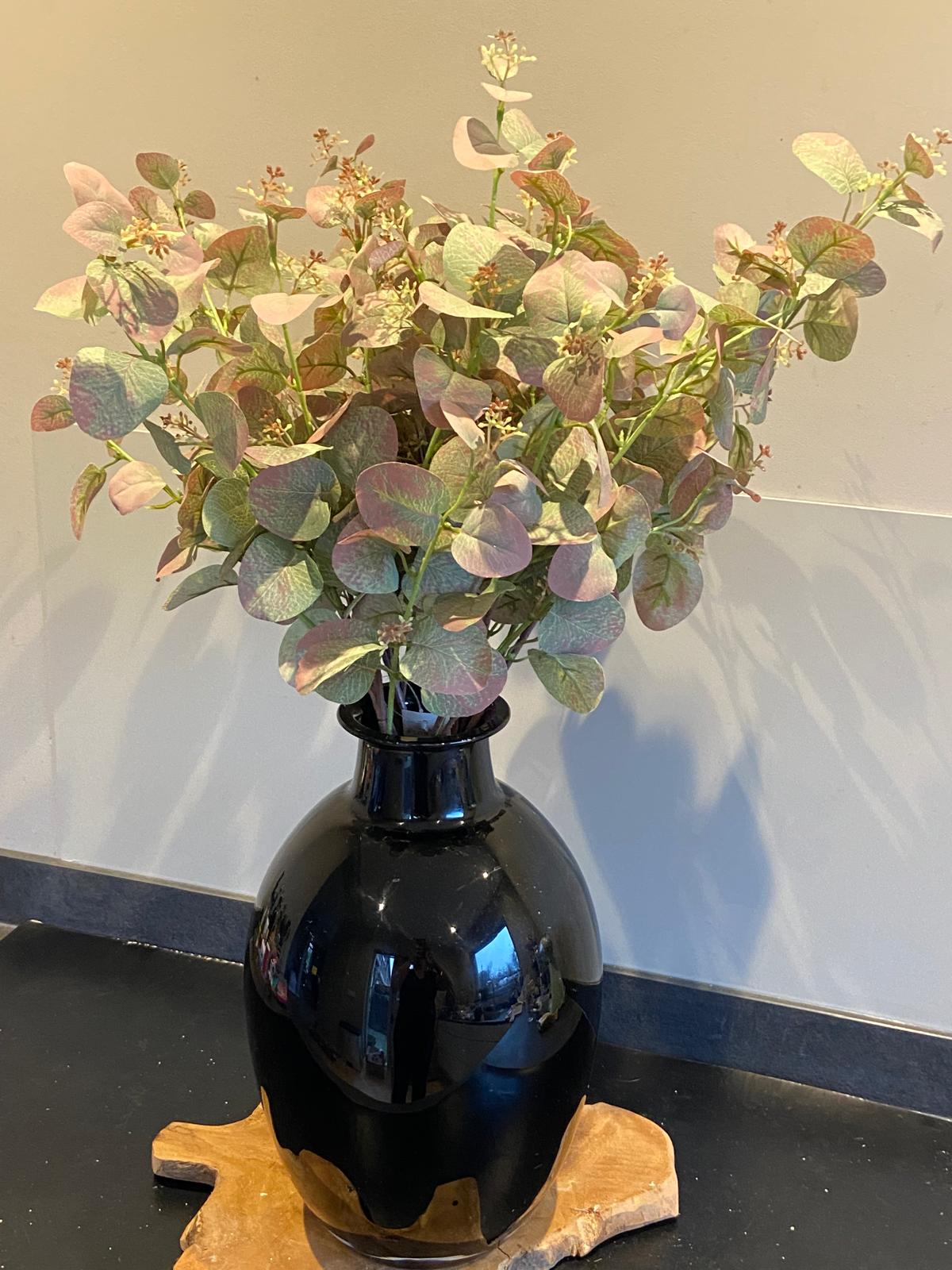 Eucalyptus 70 cm