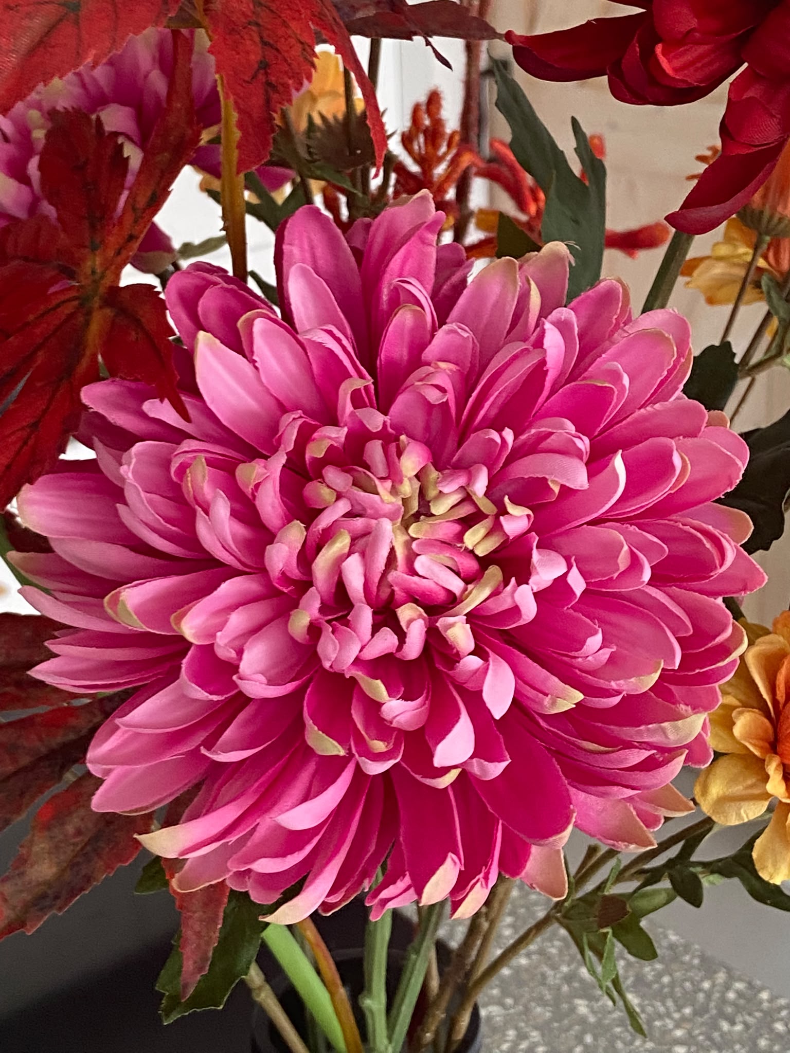rose
