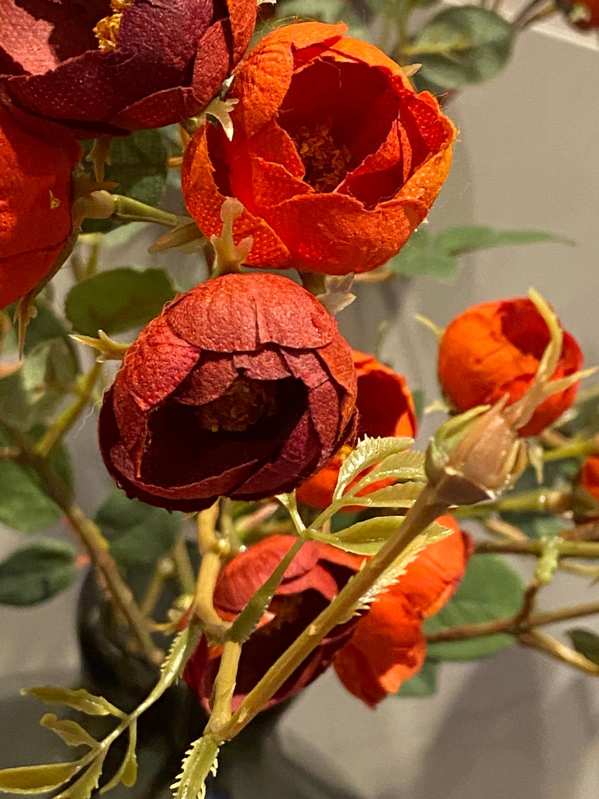 rose