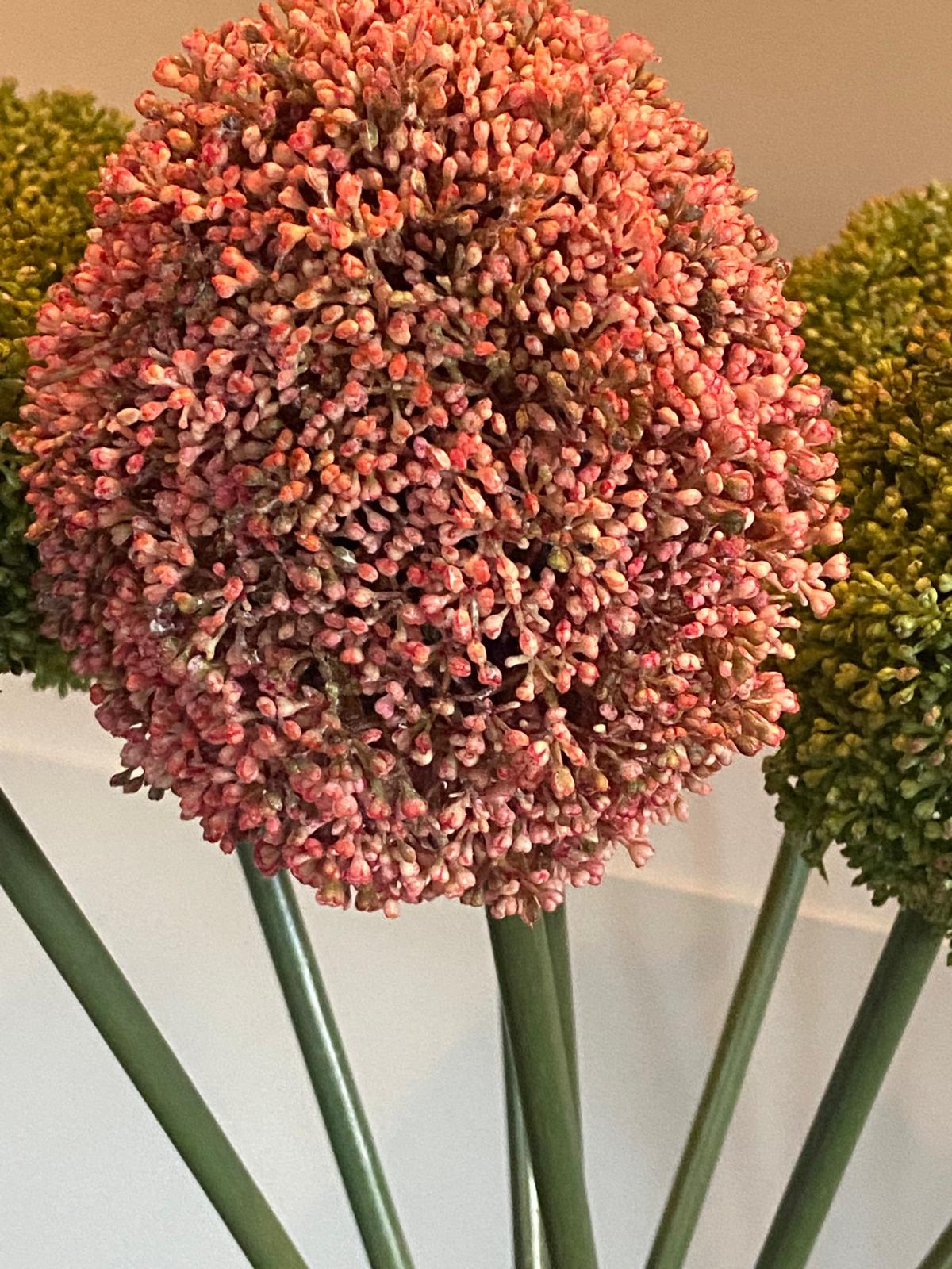 Zijden Allium 68 cm