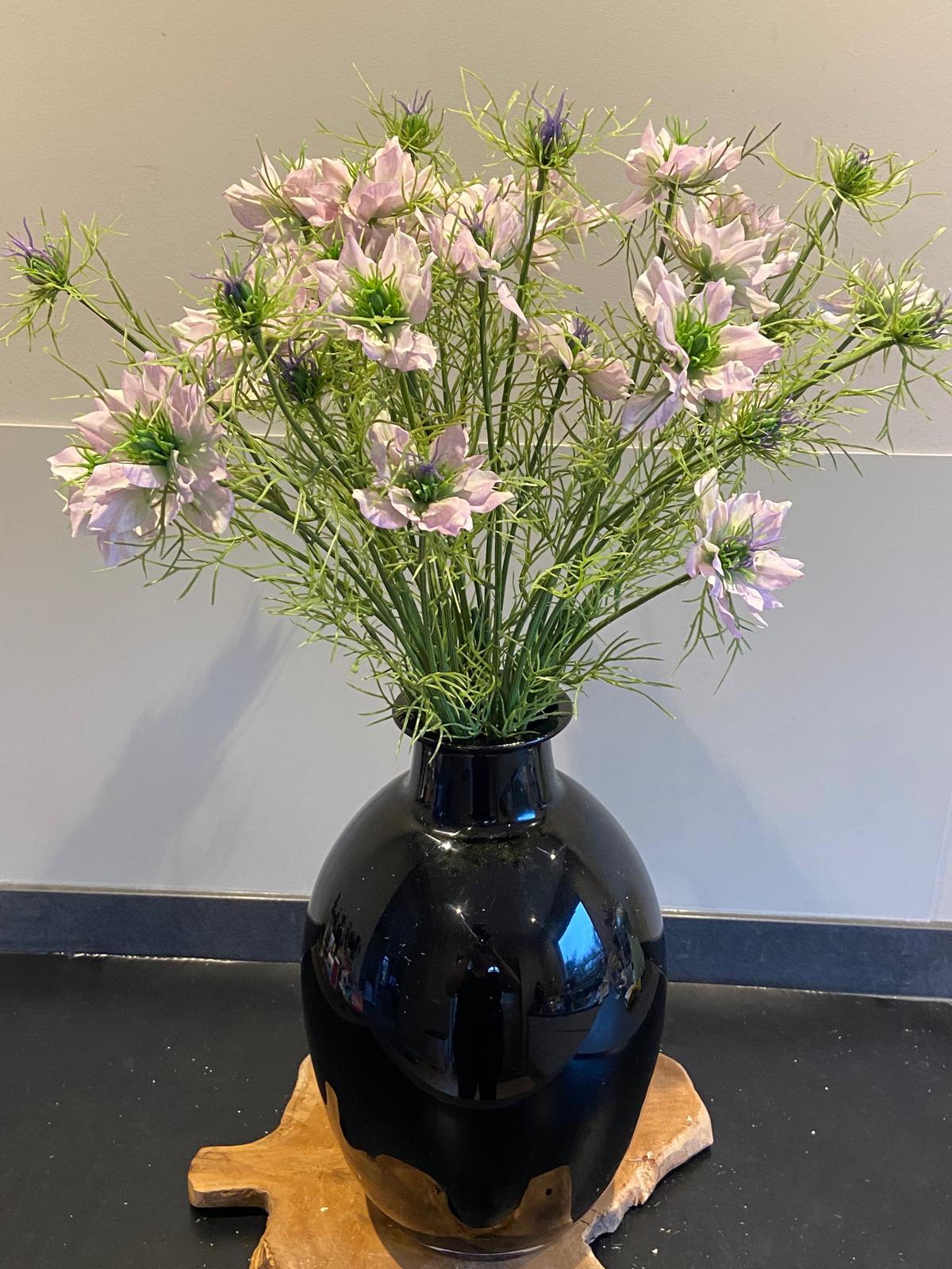 Nigella 66 cm