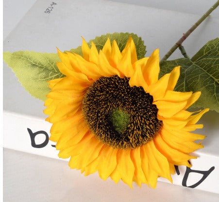 Zonnebloem