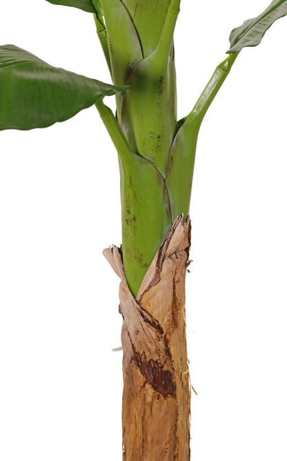 Bananenboom (Musa) 'Royal' met 10 polyester bladeren, in pot, H. 150 cm
