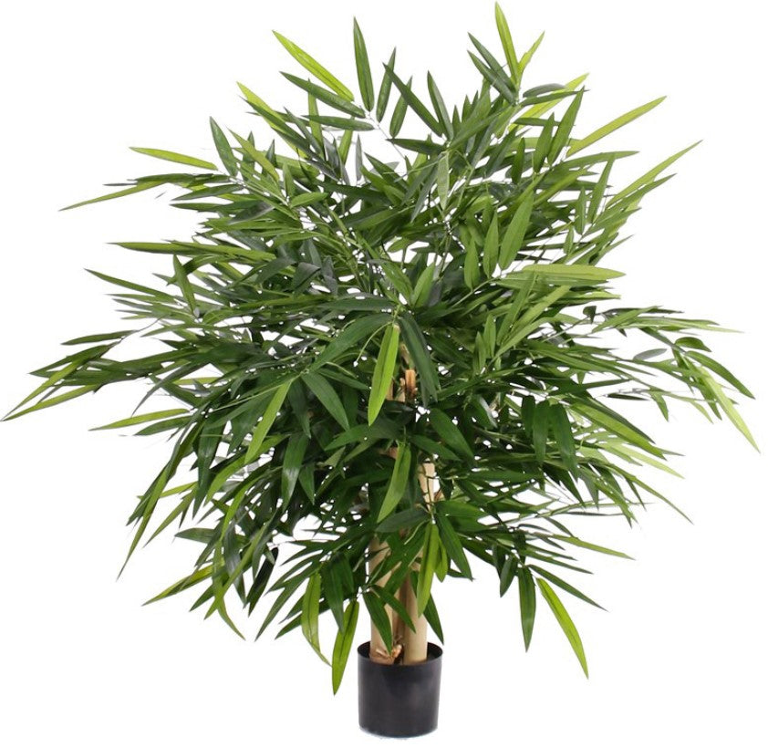 Bamboebush 'Kowloon', 3 stam, 1.280 bladeren, 105 x 105cm, UVsafe