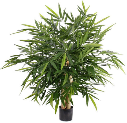 Bamboebush 'Kowloon', 3 stam, 1.280 bladeren, 105 x 105cm, UVsafe