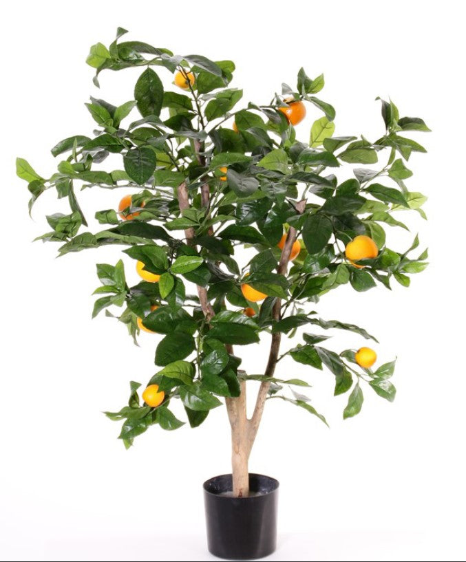 Sinaasappelboompje (Citrus sinensis), 13 fruit, 378 bladeren, 85cm, Ø 65c