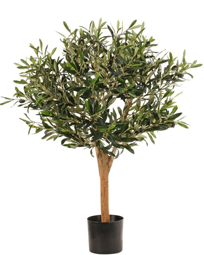 Olijfbolboom (Olea) met 1.248 blad & 30 olijven, echt houten stam, in pot, Ø 50 cm, hoogte: 85 cm