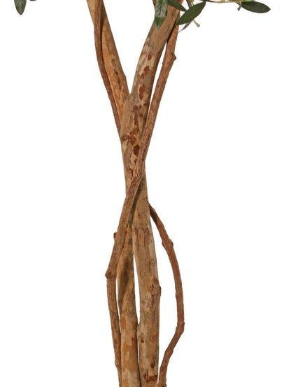 Olijfbolboom (Olea) met 2 houten stammen, 2 lianen, 2.142 bladeren & 60 olijven, Ø 80 cm, H. 165 cm, in pot