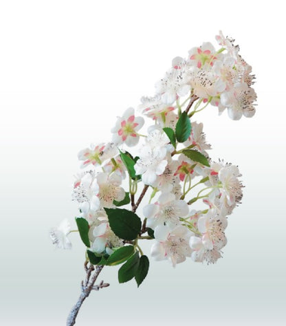 Bloesemtak Perzik 58cm