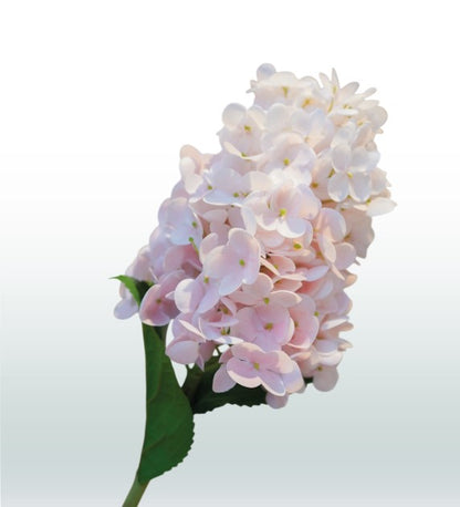 Zijden Hortensia
