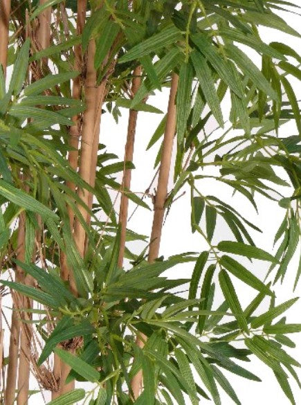 Bamboe 'Osaka', met 9 bamboestammen & 1170 bladeren, 120 cm