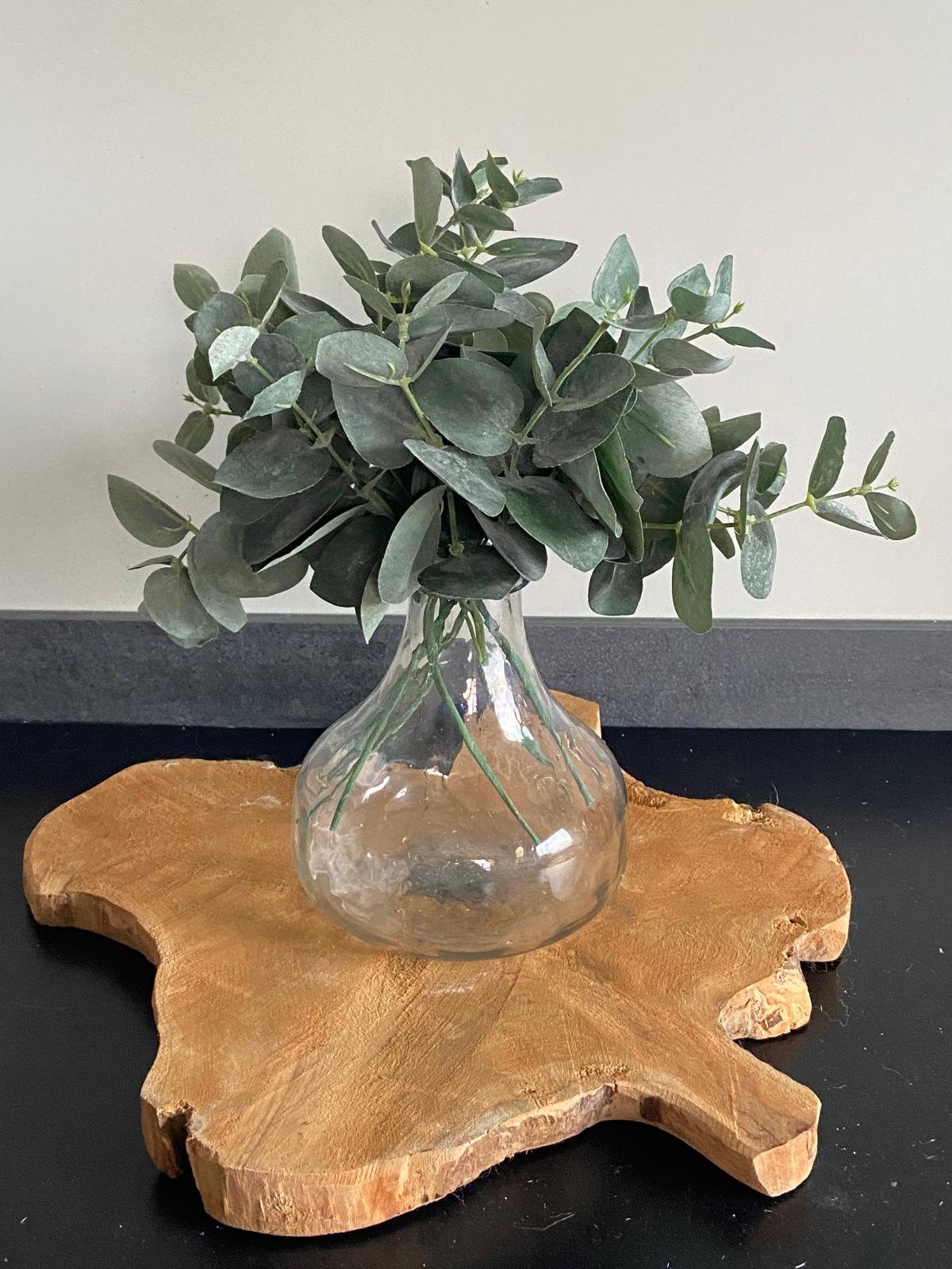 Eucalytus 28 cm