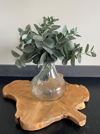 Eucalytus 28 cm