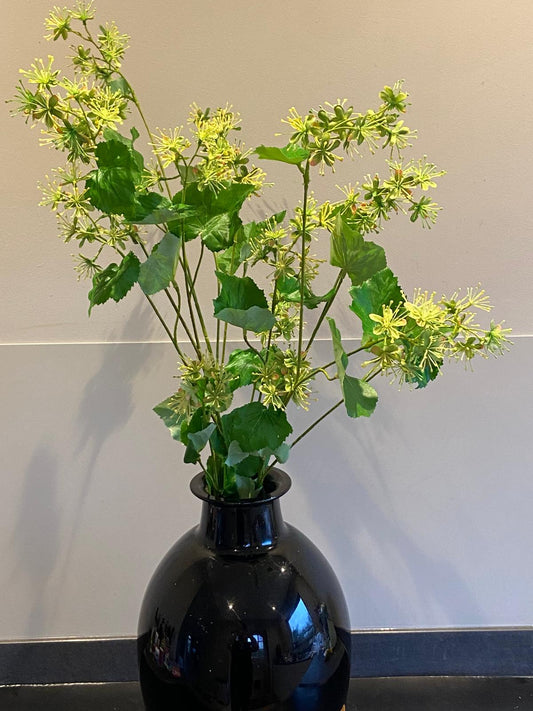 Vrouwenmantel 108 cm