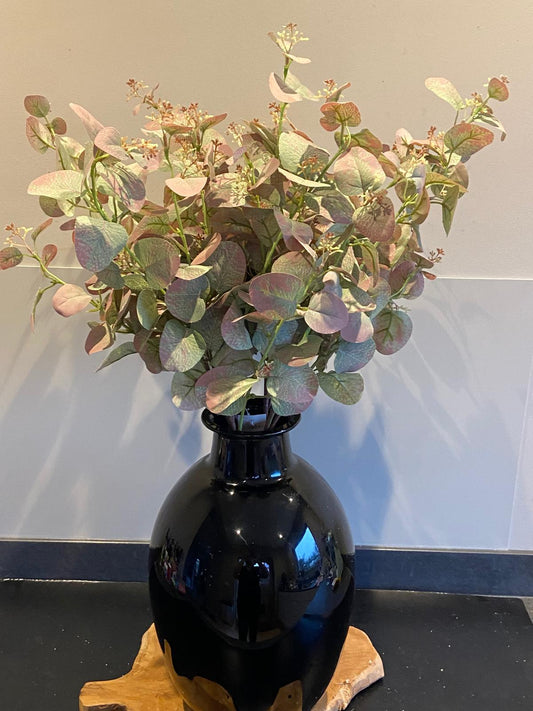 Eucalyptus 70 cm