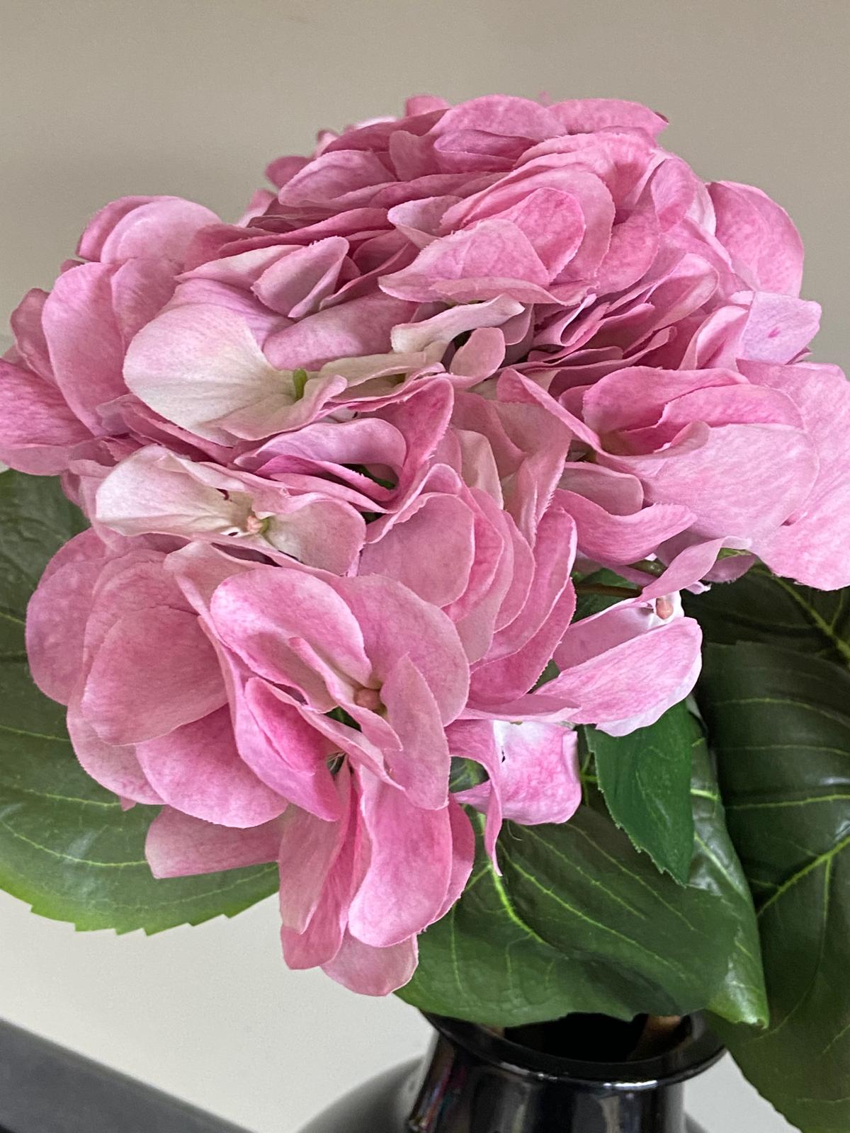 Zijden Hortensia  Sensitive 60cm