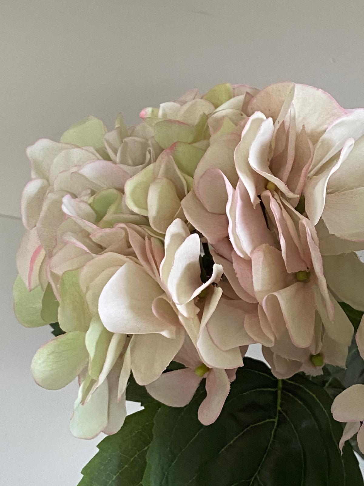 Zijden Hortensia  Sensitive 60cm