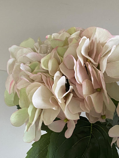 Zijden Hortensia  Sensitive 60cm