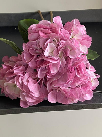 Zijden Hortensia  Sensitive 60cm
