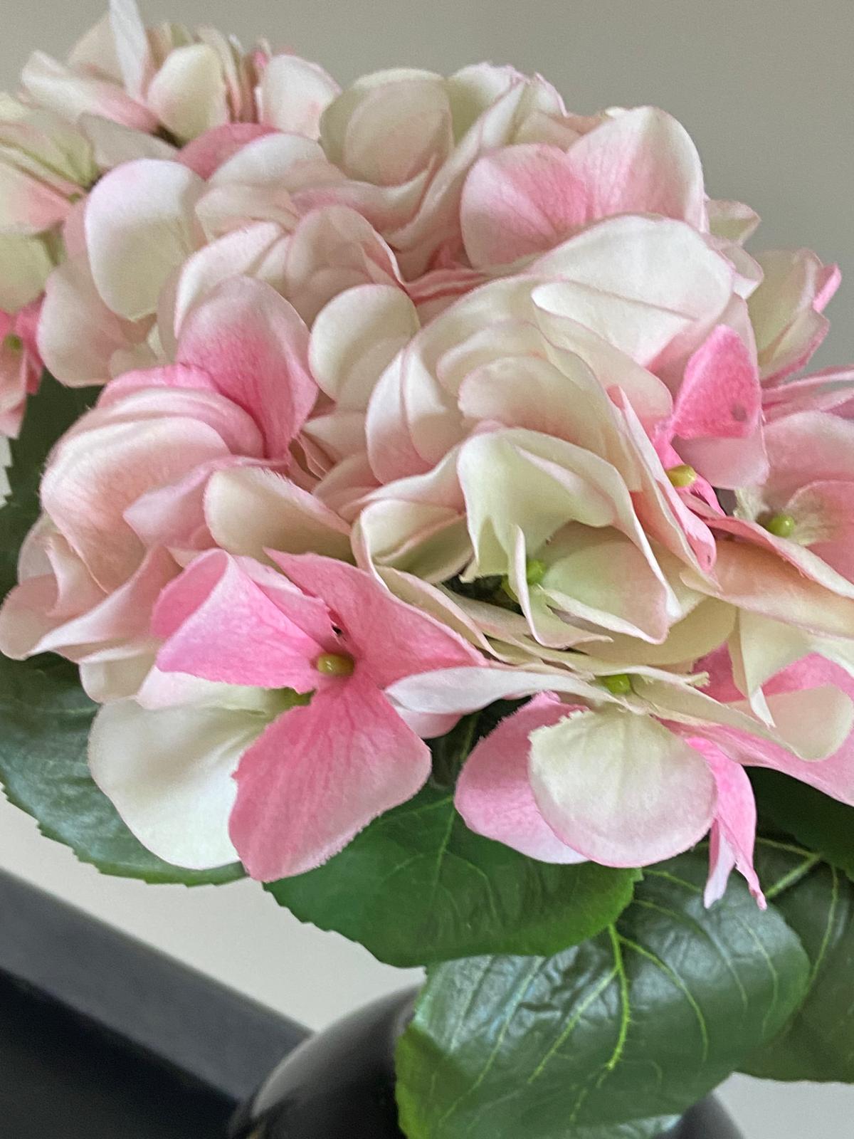 Zijden Hortensia  Sensitive 60cm