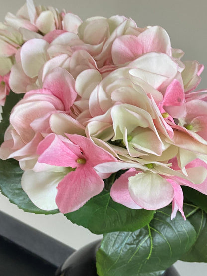 Zijden Hortensia  Sensitive 60cm