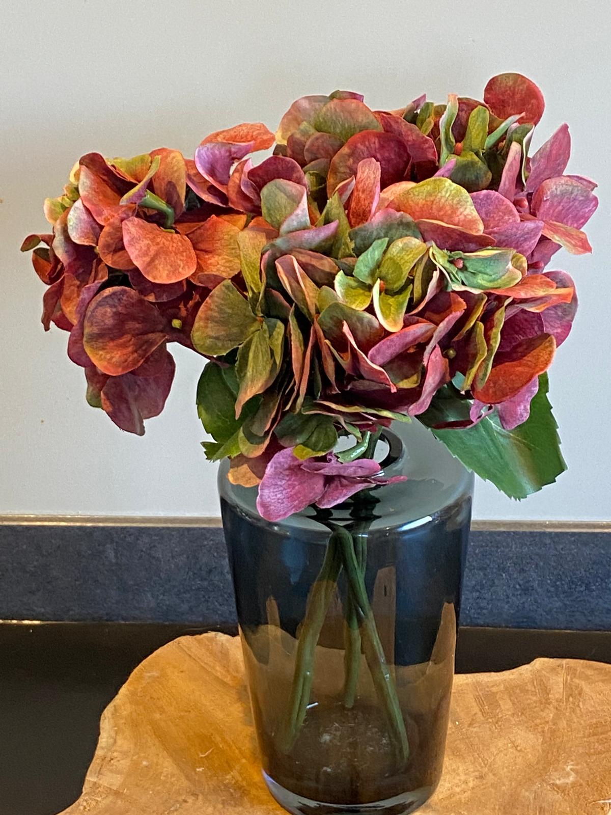 Hortensia  Sensitive 30 cm