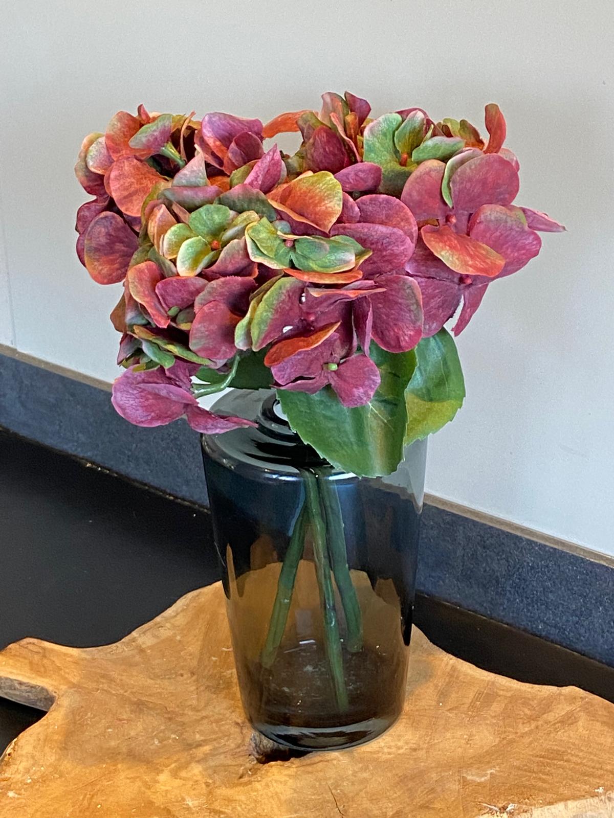 Hortensia  Sensitive 30 cm