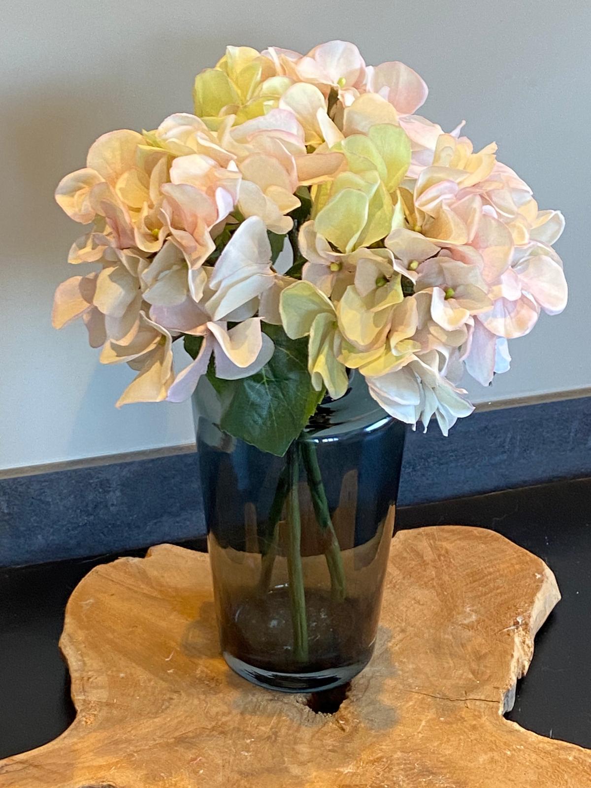 Hortensia  Sensitive 30 cm