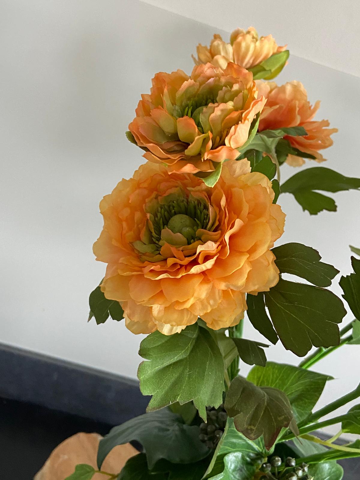 rose