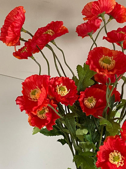 Papaver spray  63cm