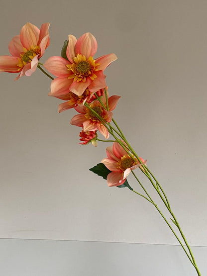 Dahlia 4-tak 108 CM