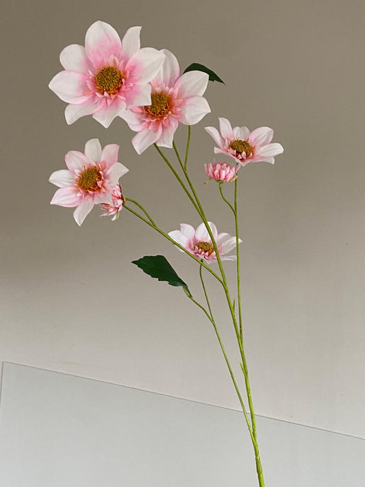 Dahlia 4-tak 108 CM