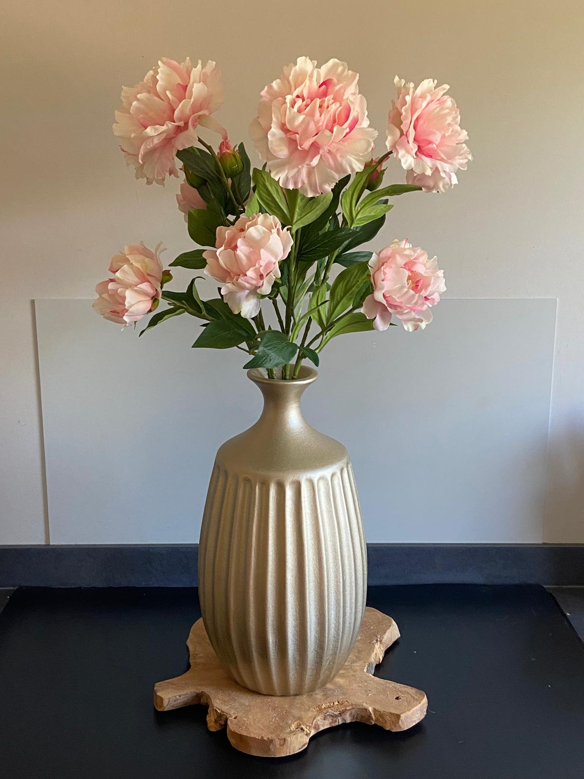 Pioenroos Paeonia   1 knop en  2 bloemen 73 cm