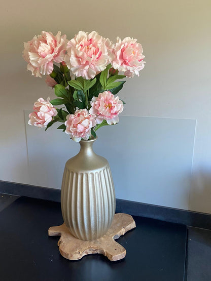 Pioenroos Paeonia   1 knop en  2 bloemen 73 cm