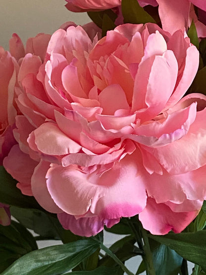 Pioenroos  1 bloem 65 cm