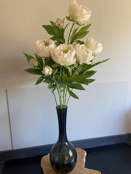 Pioenroos Beauty   1 bloem en    1 knop 73 cm