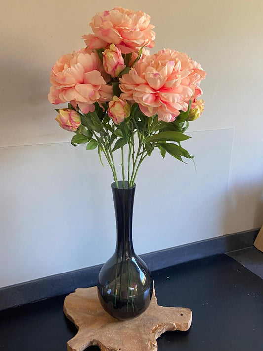 Pioenroos  1 bloem 65 cm