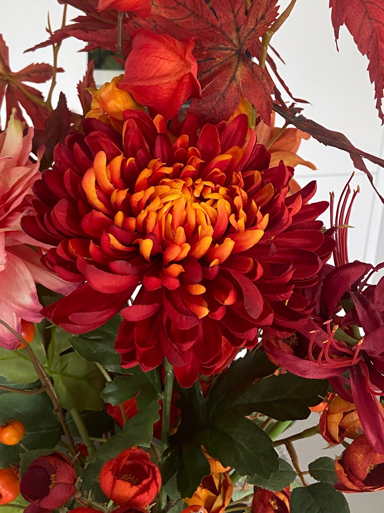 rose