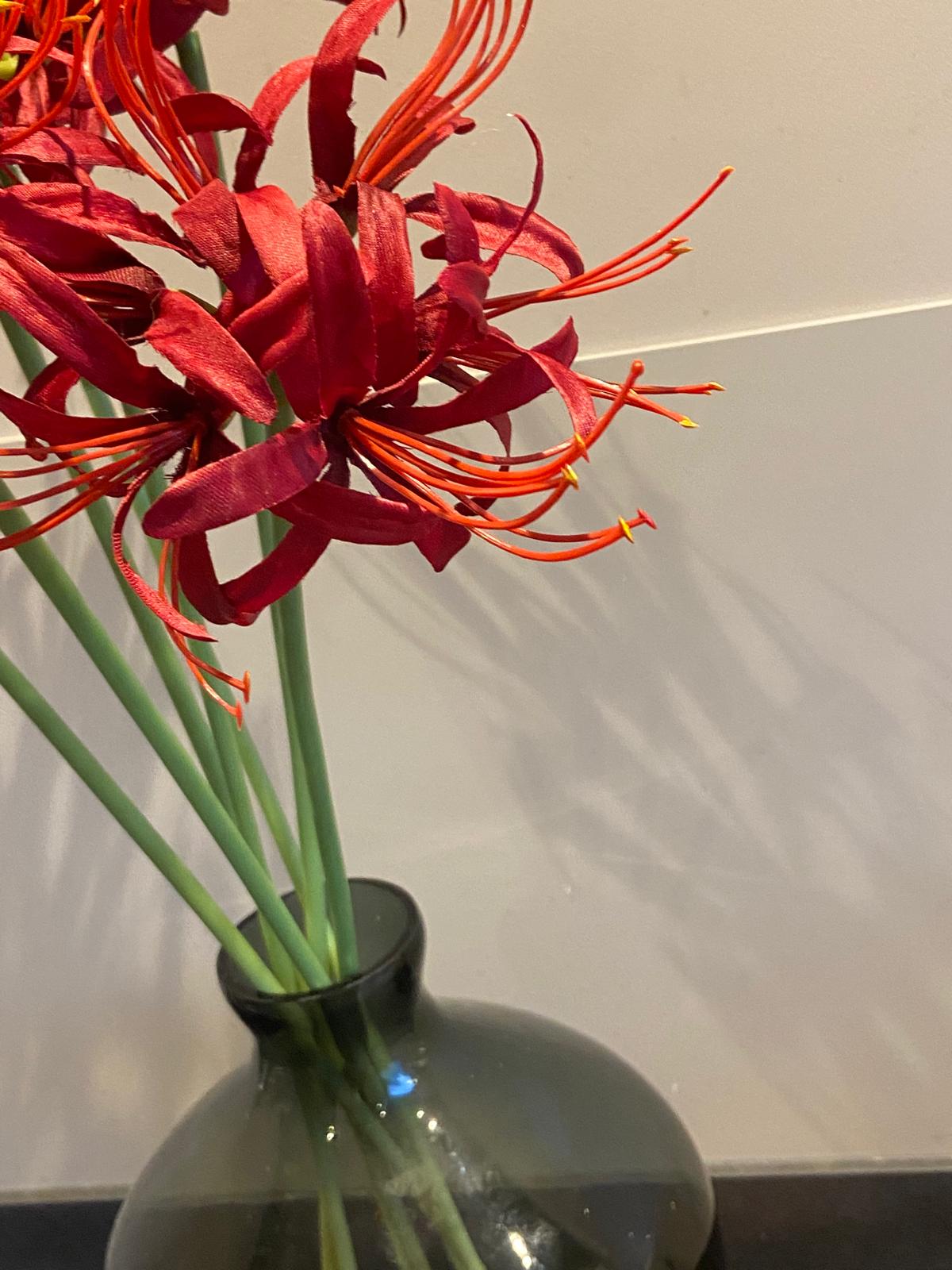 Zijden Nerine 70 cm