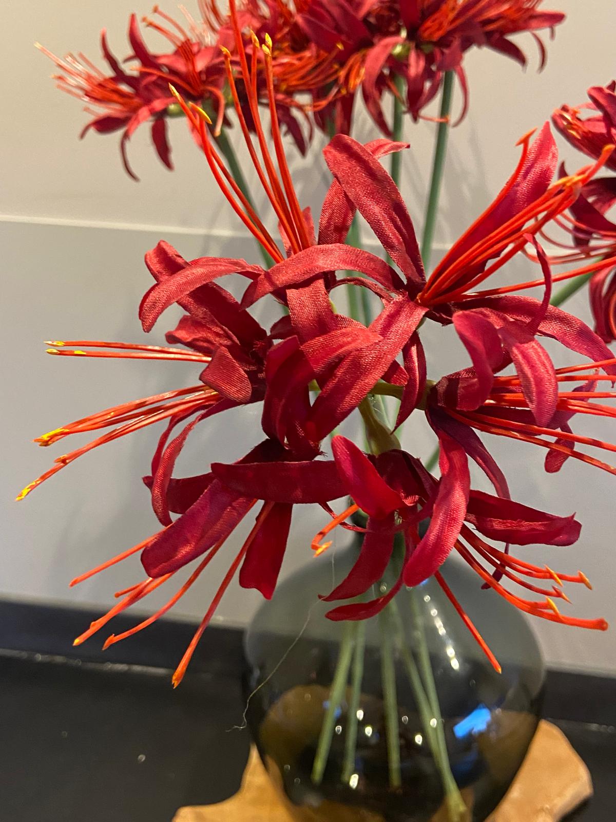 Zijden Nerine 70 cm